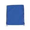 Blue PE Bag
