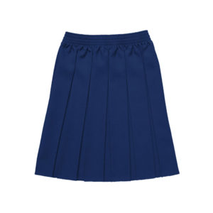 Trewirgie Pleated Skirt