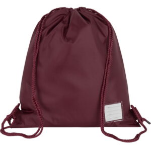 Premium Plain PE Bag In Maroon., PE Kit