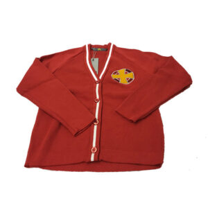 St. Hilary School Cardigan, St. Hilary School