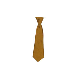 Trewirgie Junior School Elasticated Tie, Trewirgie Junior School