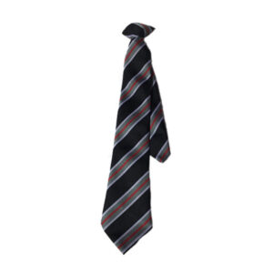 Camborne S.I. Academy Clip On Tie, Camborne Science & International Academy