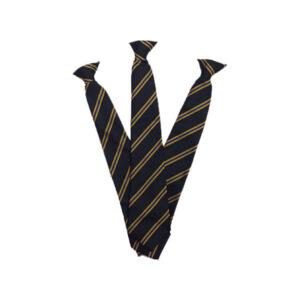 Hayle Academy Clip On Tie, Hayle Academy