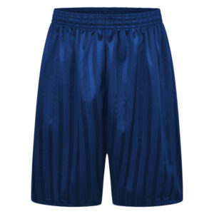 Royal Blue PE Shorts, Trewirgie Infant & Nursery School, Trewirgie Junior School, PE Kit