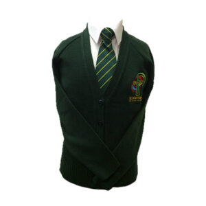 St. Meriadoc Junior CE Academy Cardigan, St. Meriadoc CE Junior School