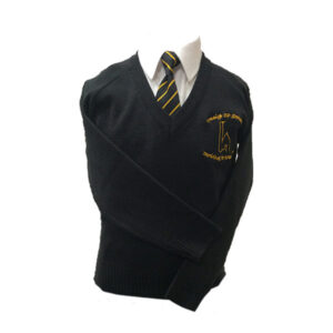 Treleigh C.P. School V-Neck Jumper, Treleigh C.P. School