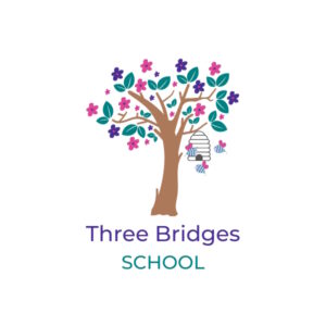 Three Bridges School